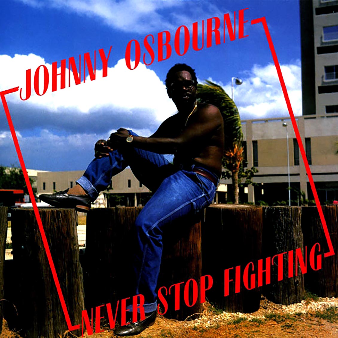 Johnny Osbourne - Never Stop Fighting vinyl LP front cover