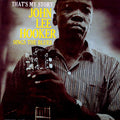 John Lee Hooker - That's My Story: Sings The Blues vinyl LP front cover