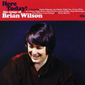 Bobby Vee, The Tokens, Hugo Montenegro, Etc. - Here Today! The Songs Of Brian Wilson (180g) (colored vinyl) vinyl LP front cover