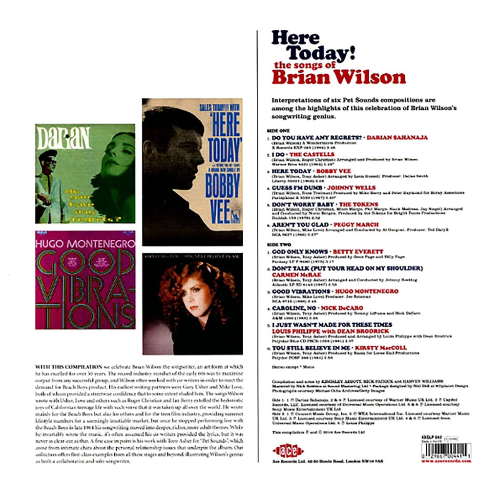 Bobby Vee, The Tokens, Hugo Montenegro, Etc. - Here Today! The Songs Of Brian Wilson (180g) (colored vinyl) vinyl LP back cover