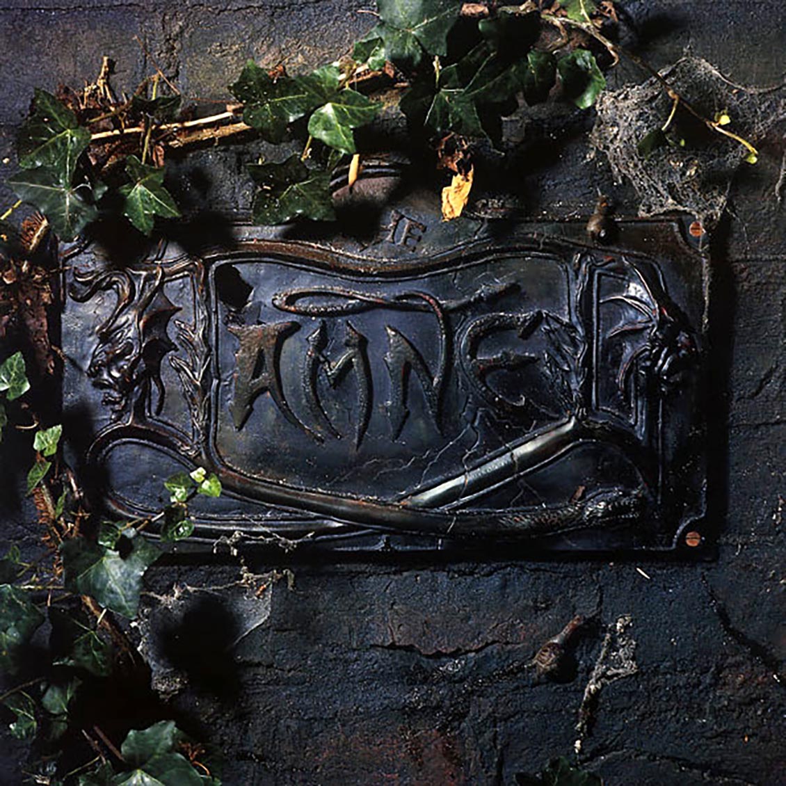 The Damned - The Black Album (2xLP) (180g) vinyl LP front cover