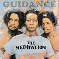 Meditations - Guidance (2003 FIRST PRESS) (orig. press) (2xLP) vinyl LP front cover
