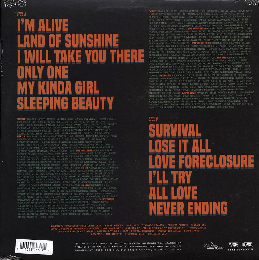 Beres Hammond - Never Ending vinyl LP back cover