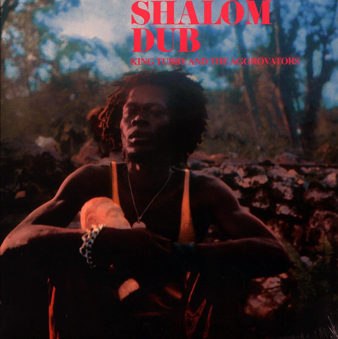 King Tubby - Shalom Dub vinyl LP front cover