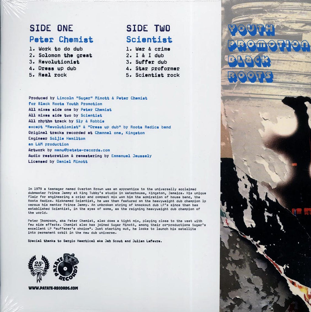Scientist, Peter Chemist - 1999 Dub vinyl LP back cover