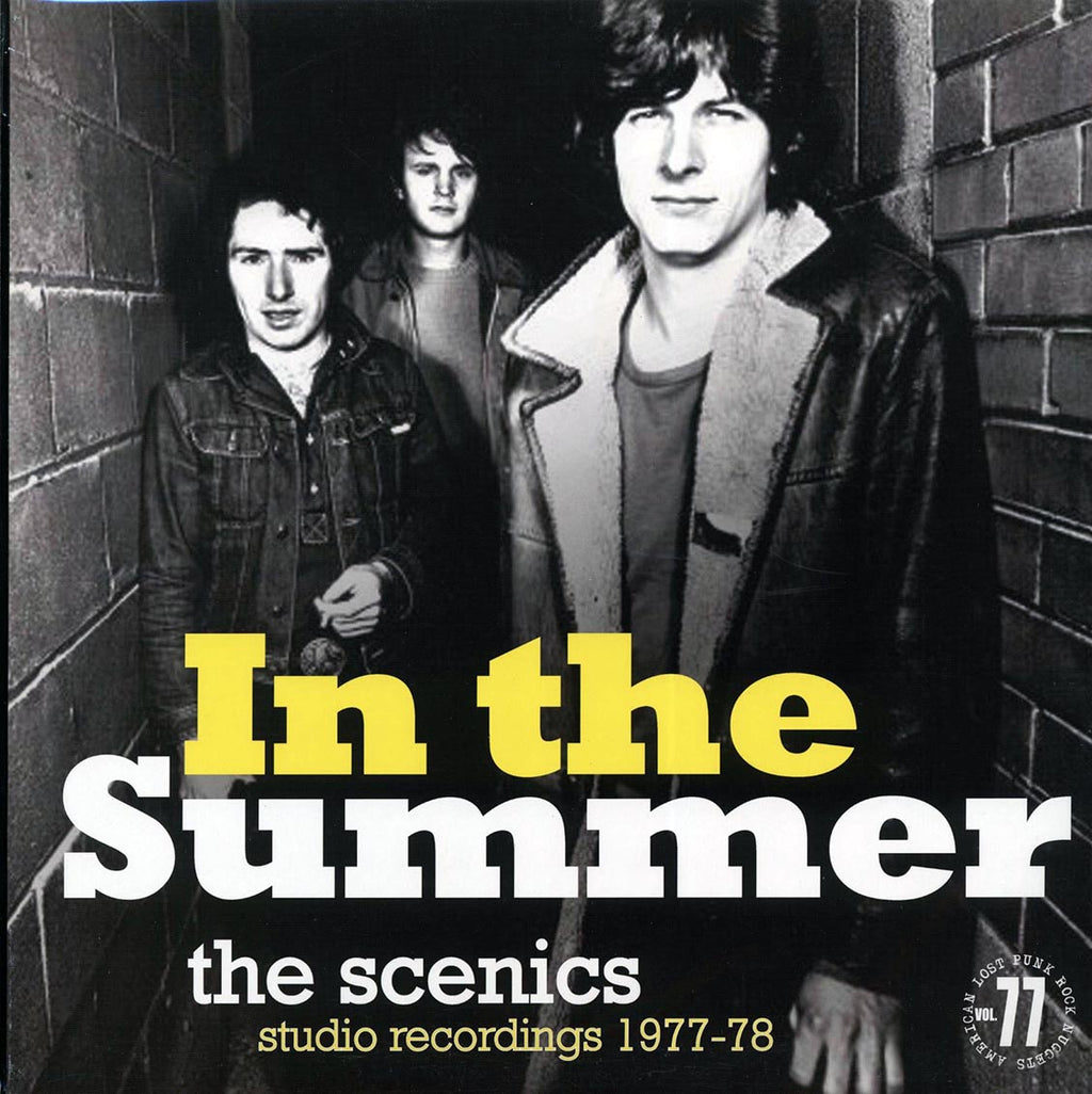 The Scenics - In The Summer: Studio Recordings 1977-78 vinyl LP front cover