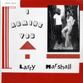 Larry Marshall - I Admire You vinyl LP front cover