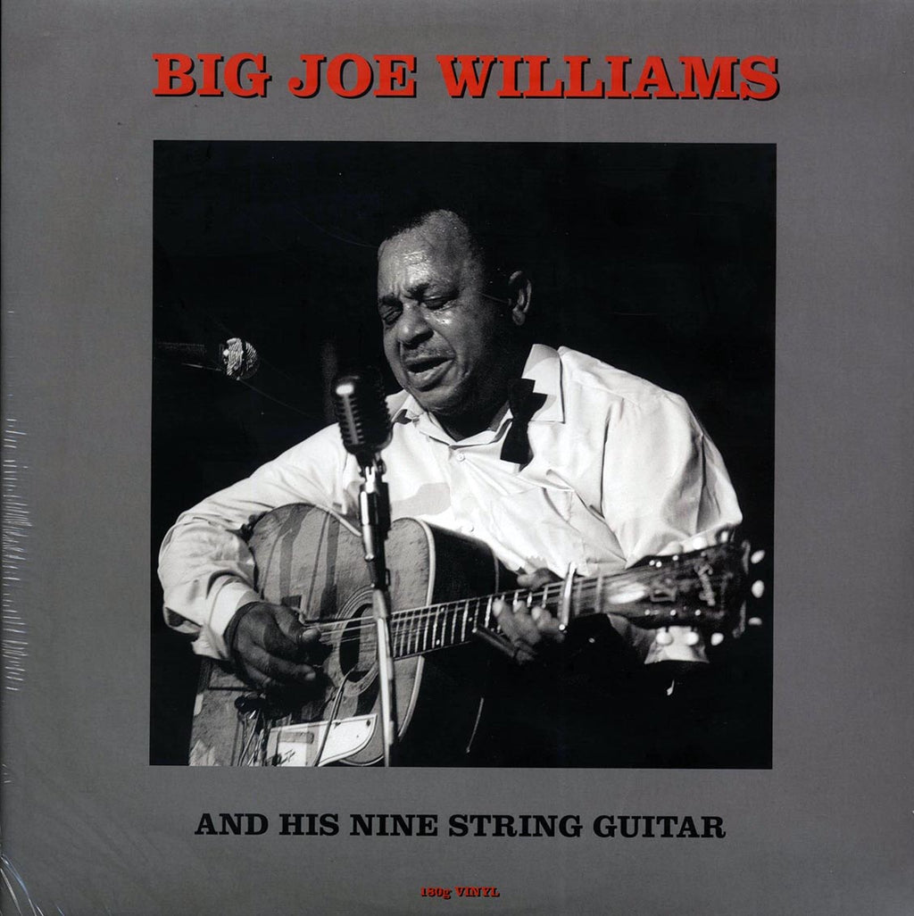 Big Joe Williams - Big Joe Williams And His Nine String Guitar (180g) vinyl LP front cover
