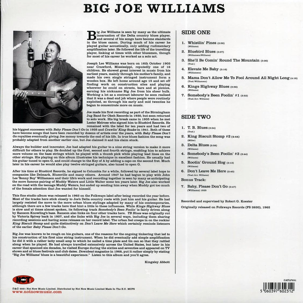 Big Joe Williams - Big Joe Williams And His Nine String Guitar (180g) vinyl LP back cover