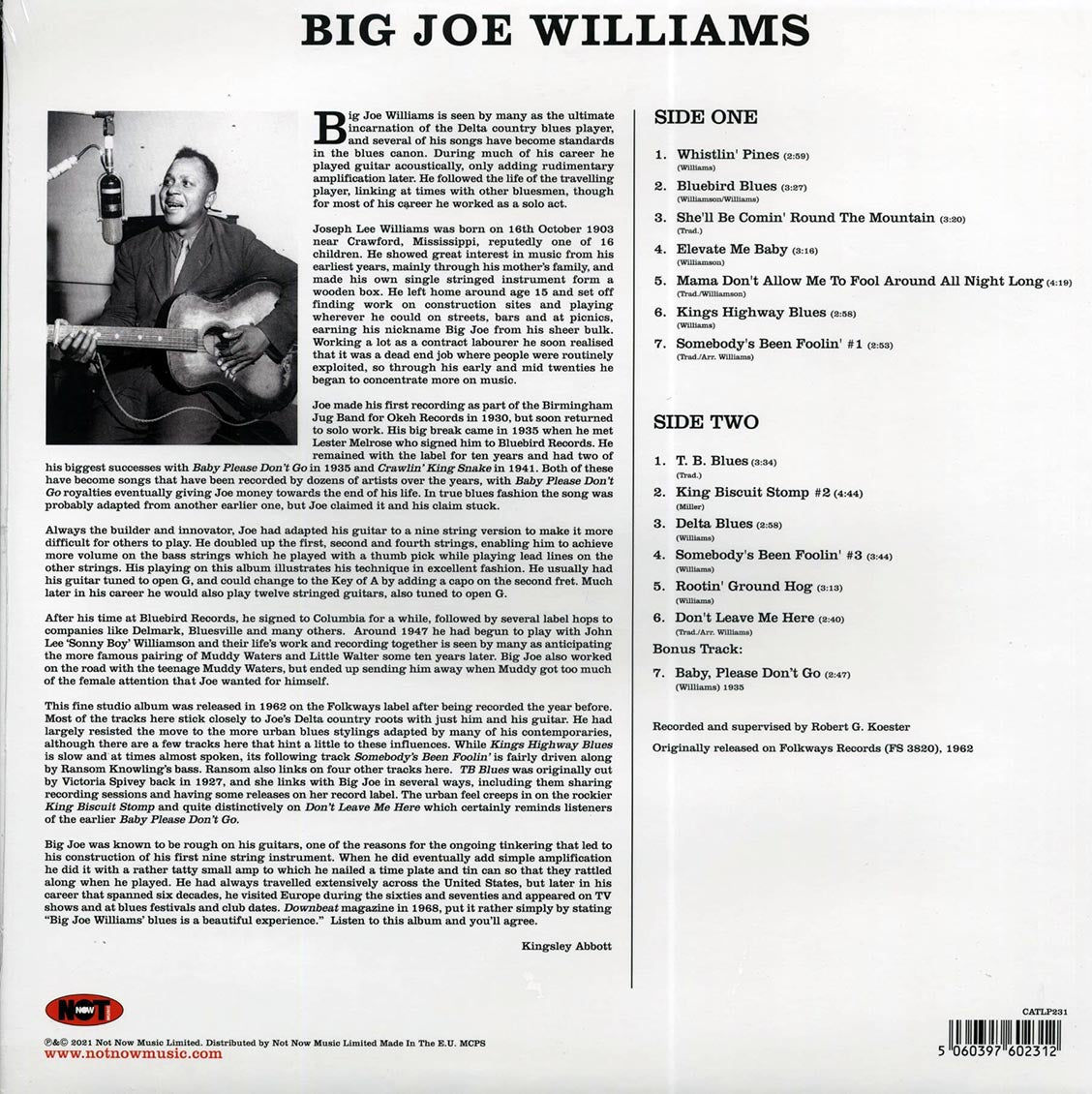 Big Joe Williams - Big Joe Williams And His Nine String Guitar (180g) vinyl LP back cover