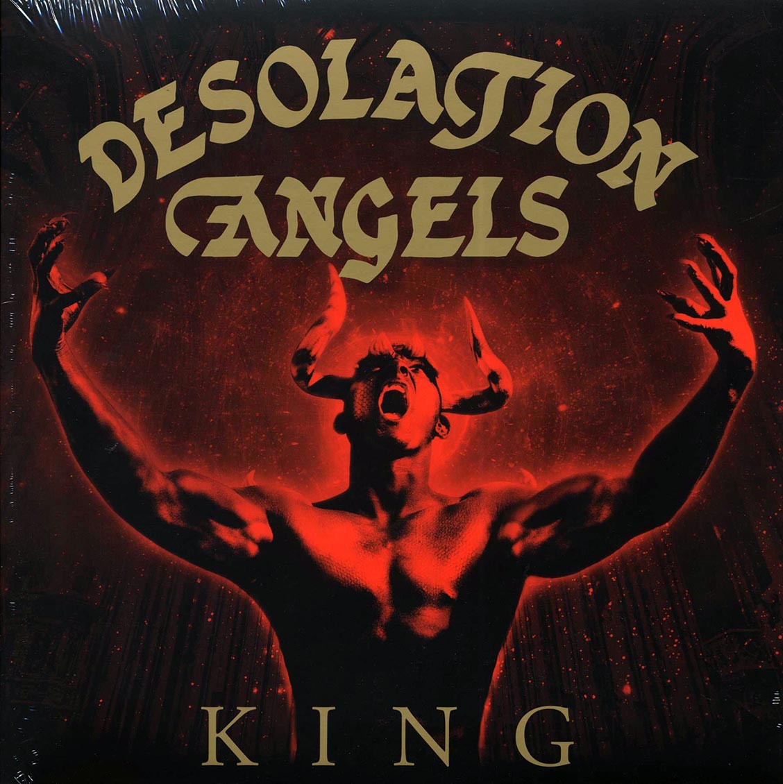 Desolation Angels - King vinyl LP front cover