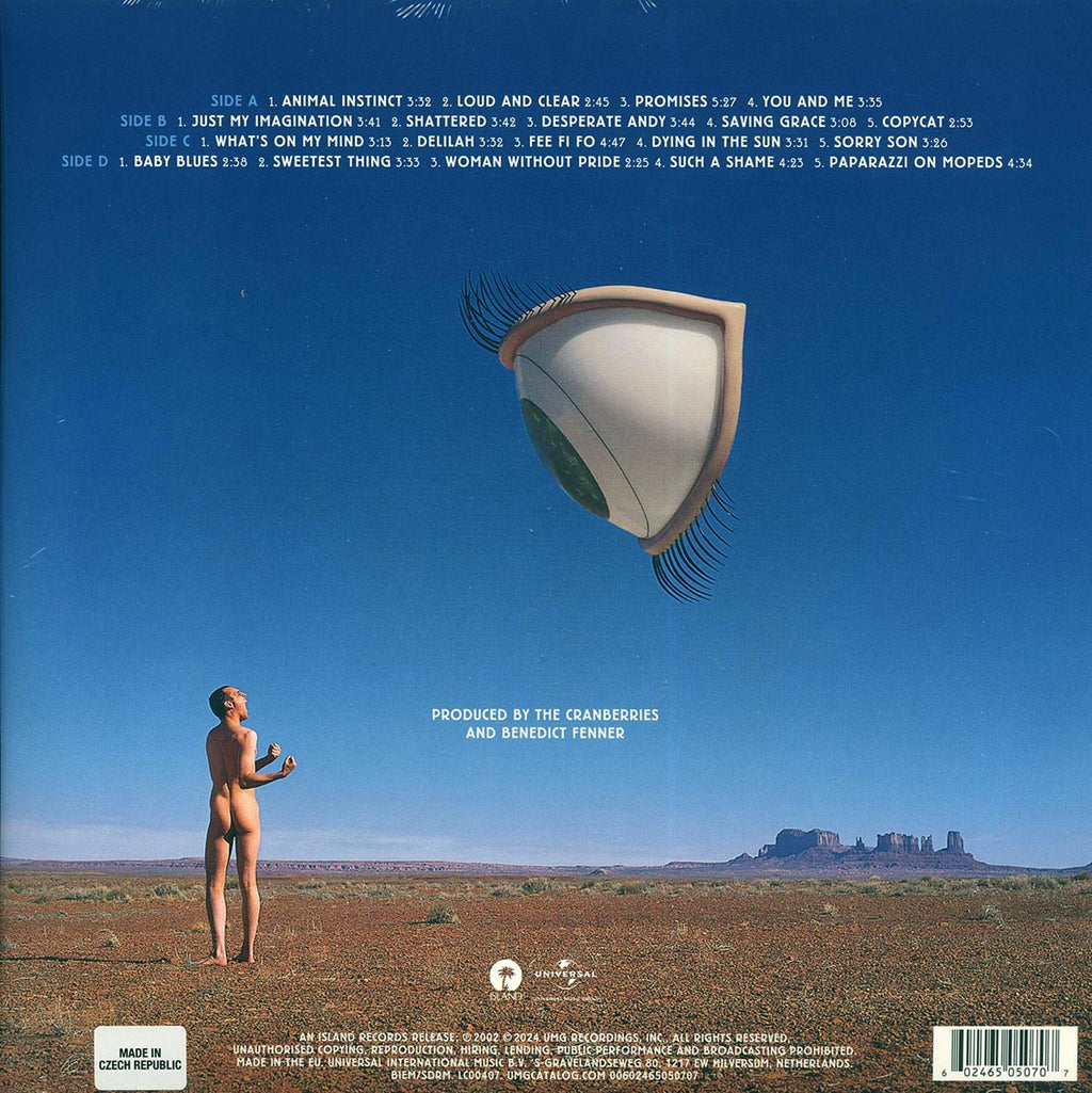 The Cranberries - Bury The Hatchet (RSD 2024) (ltd. ed.) (2xLP) (remastered) vinyl LP back cover