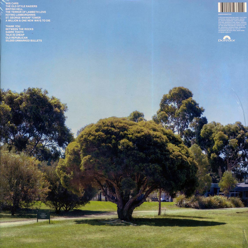 Jamie T - The Theory Of Whatever (ltd. ed.) (white vinyl) vinyl LP back cover