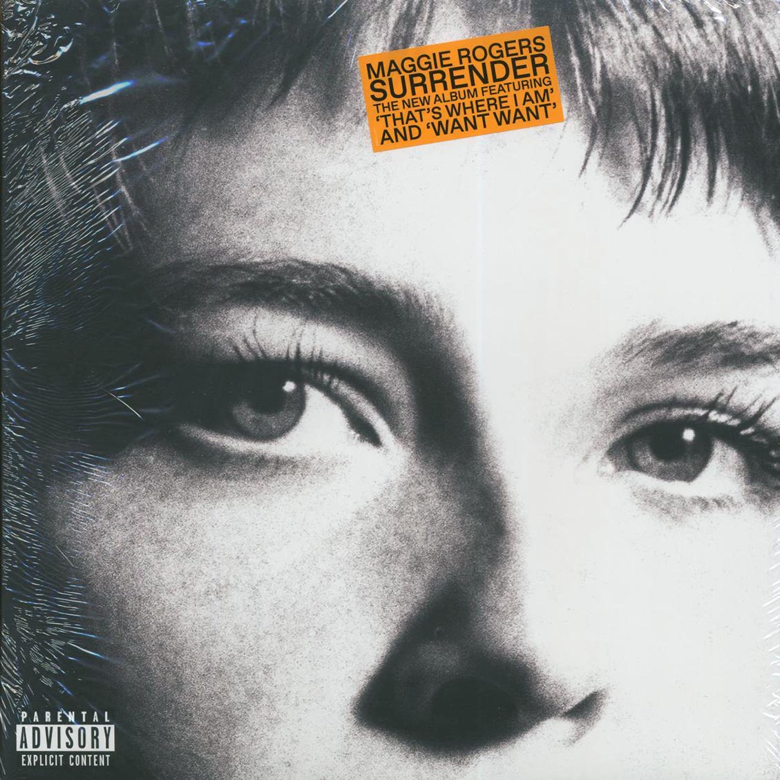 Maggie Rogers - Surrender vinyl LP front cover