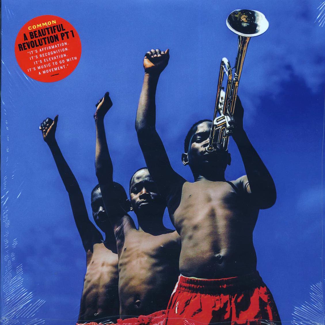 Common - A Beautiful Revolution Part 1 vinyl LP front cover