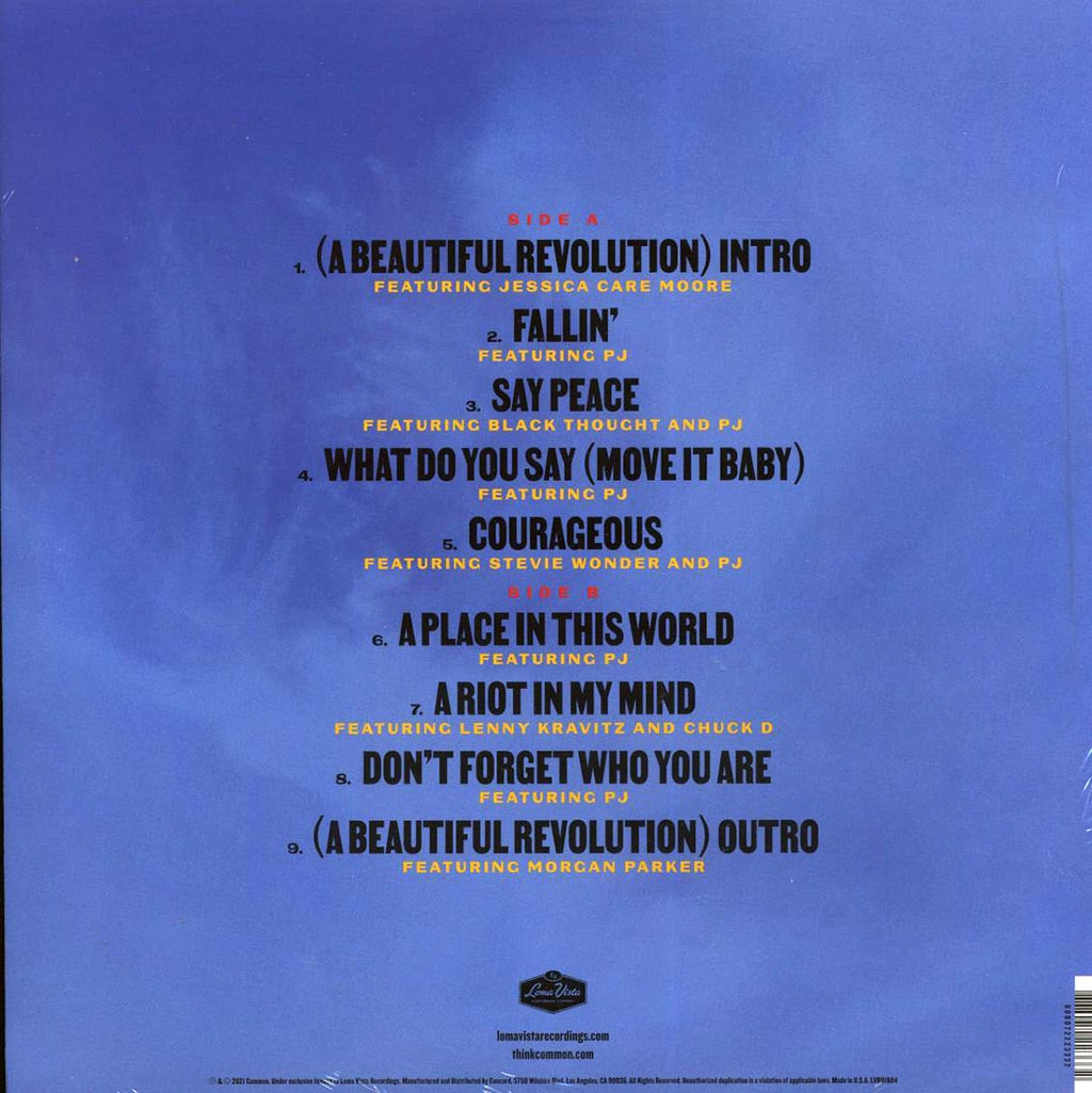 Common - A Beautiful Revolution Part 1 vinyl LP back cover