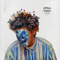 Hobo Johnson - The Fall Of Hobo Johnson (white vinyl) vinyl LP front cover