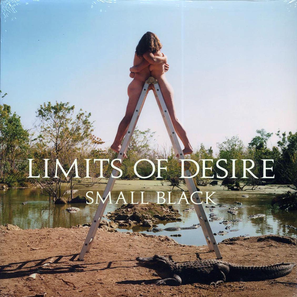 Small Black - Limits Of Desire vinyl LP front cover