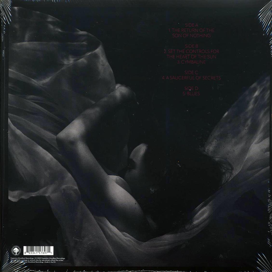 Pink Floyd - Italy Live 1971 Volume 2 (ltd. ed.) (2xLP) (grey marble vinyl) vinyl LP back cover