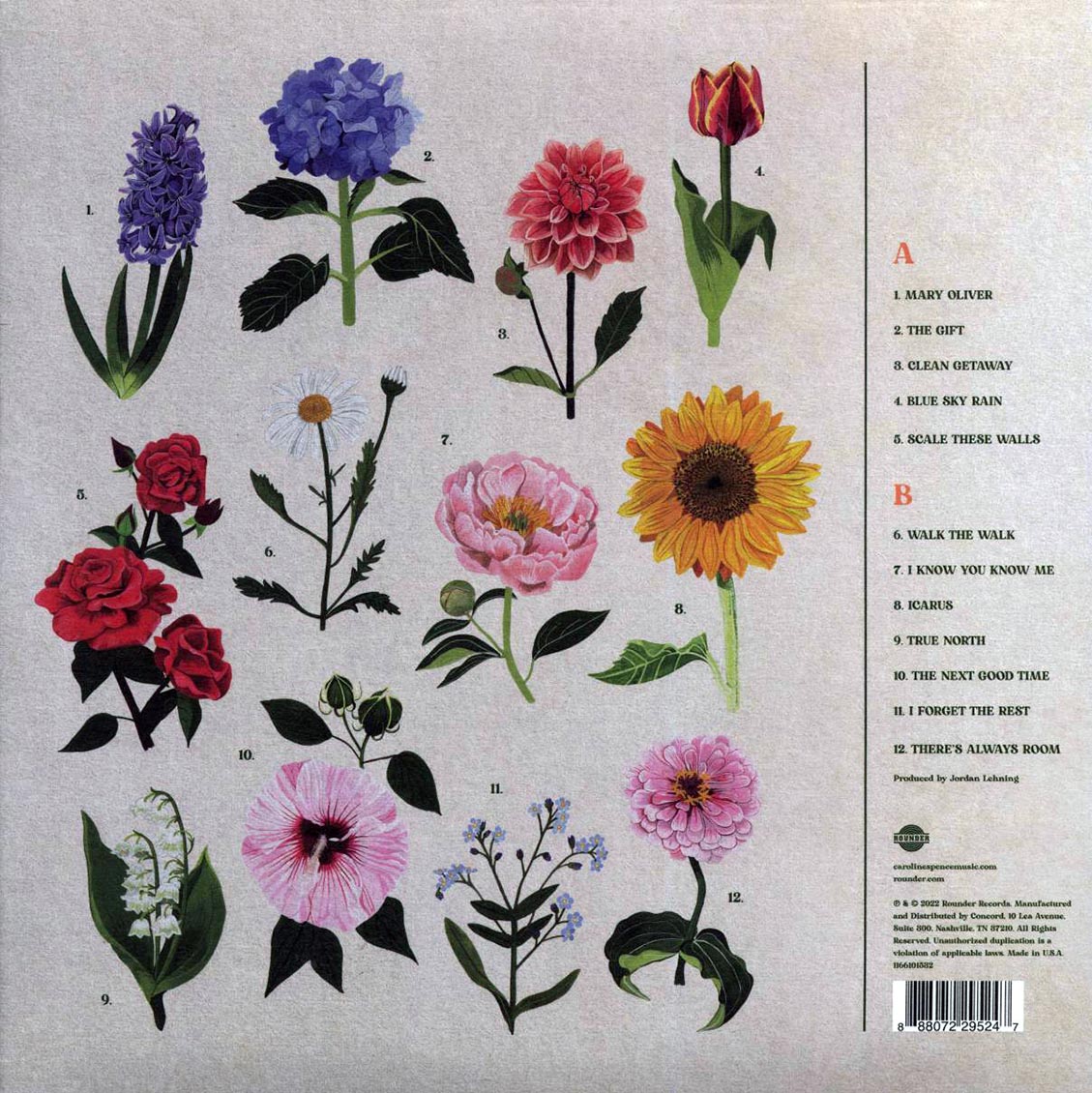 Caroline Spence - True North vinyl LP back cover