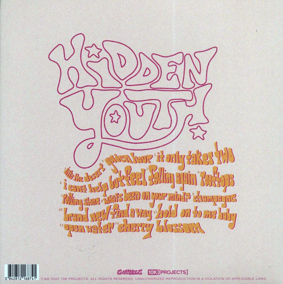 Surfaces - Hidden Youth vinyl LP back cover