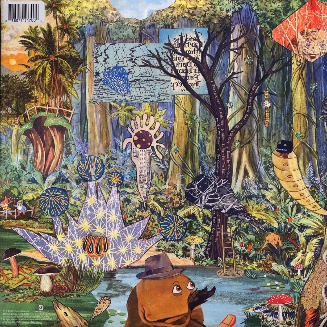 The Revivalists - Pour It Out Into The Night (ltd. ed.) (sun marble vinyl) vinyl LP back cover