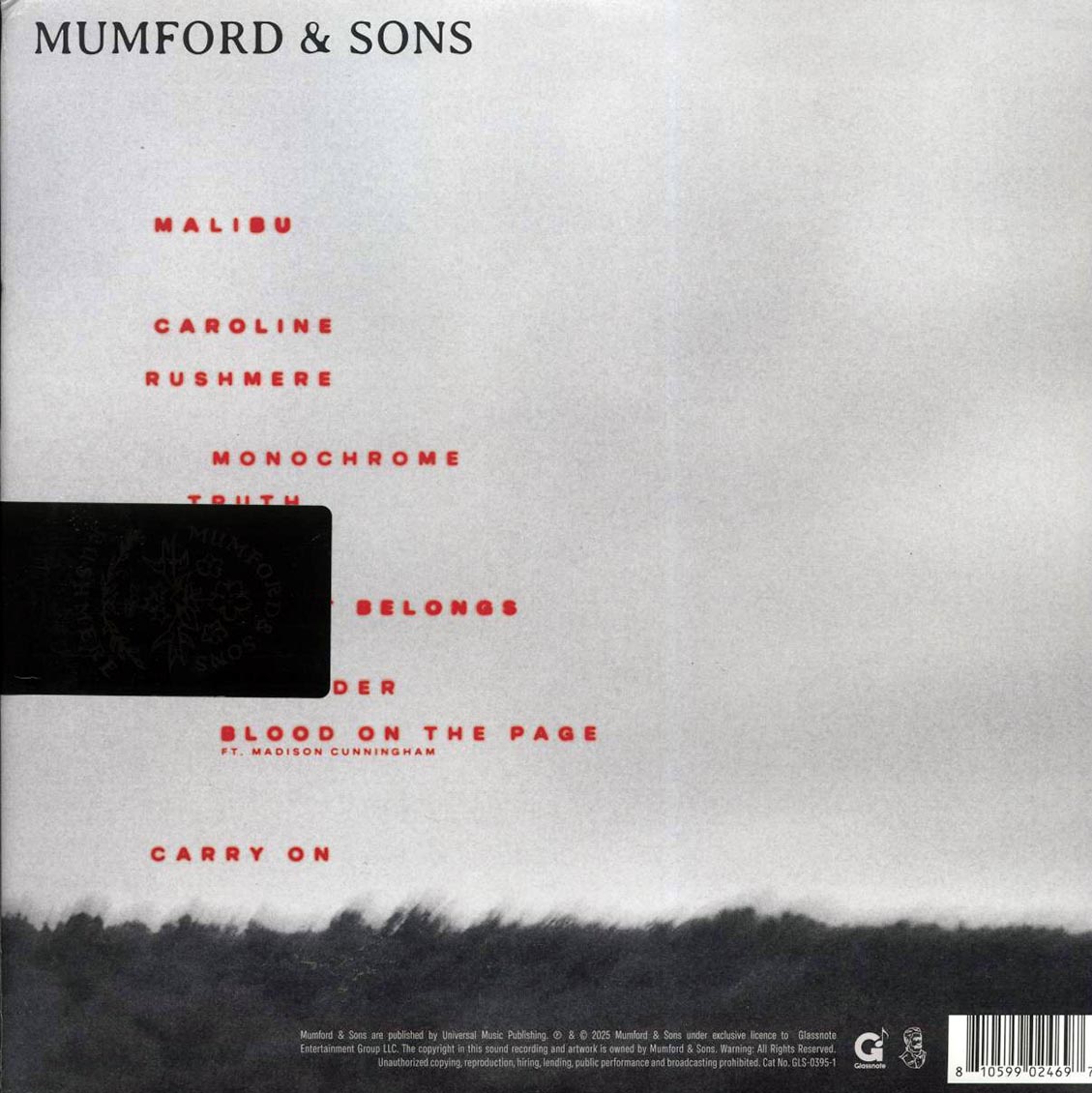Mumford & Sons - Rushmere (ltd. ed.) vinyl LP back cover
