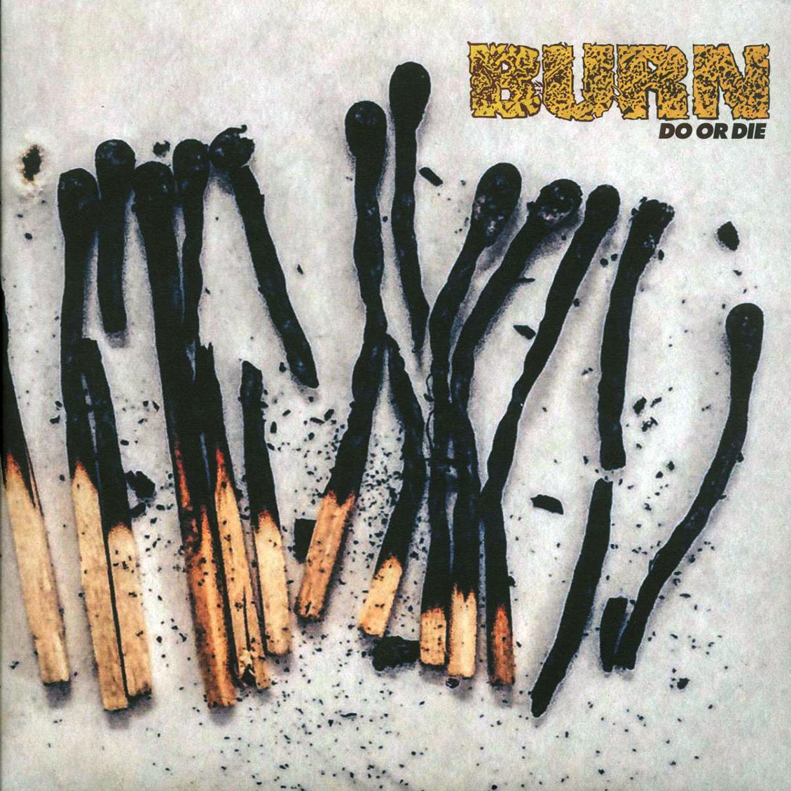 Burn - Do Or Die vinyl LP front cover