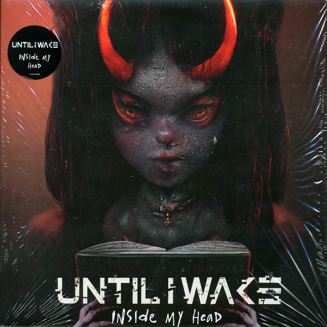 Until I Wake - Inside My Head vinyl LP front cover