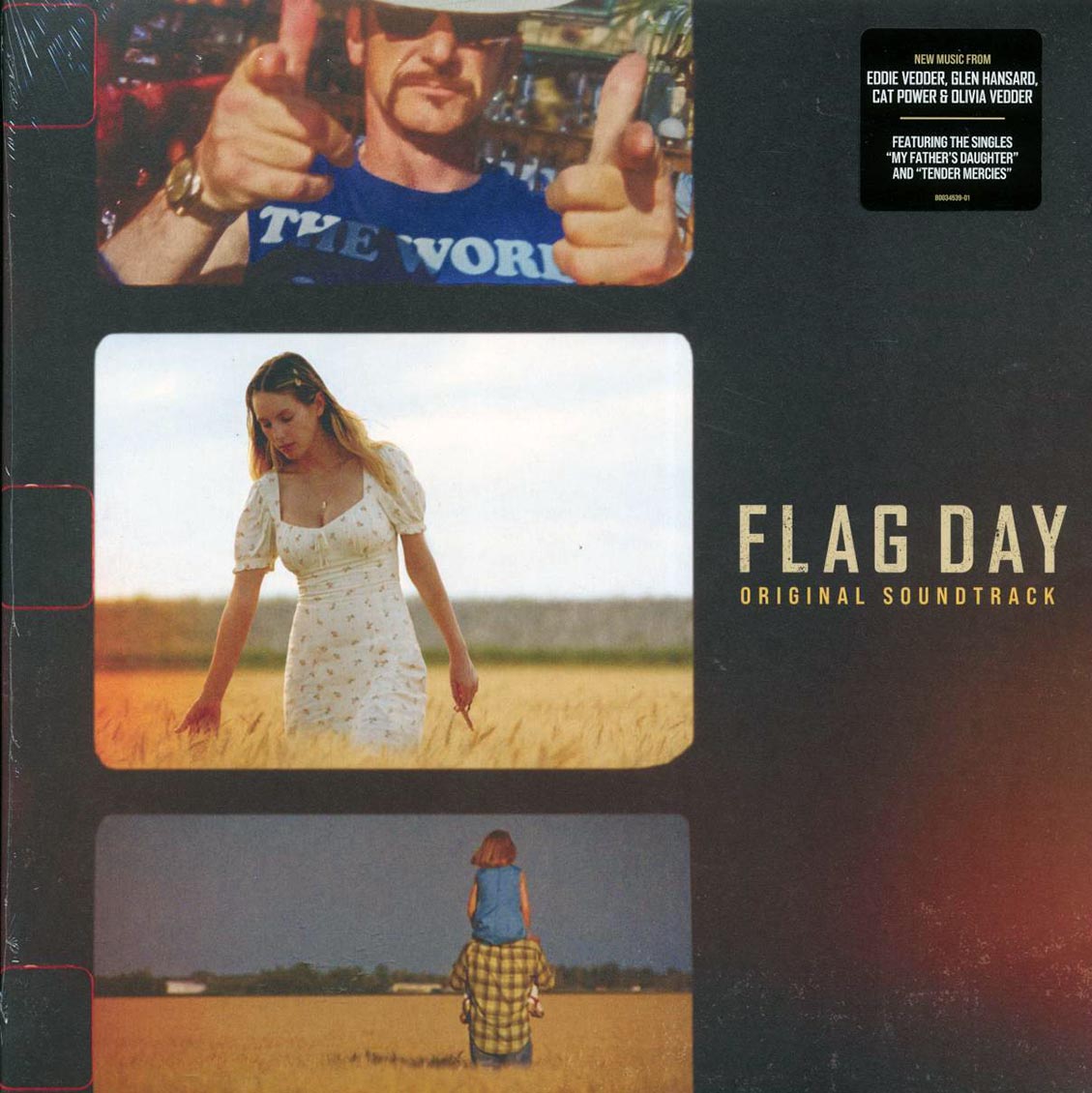 Eddie Vedder, Glen Hansard, Cat Power, Olivia Vedder - Flag Day: Original Soundtrack vinyl LP front cover