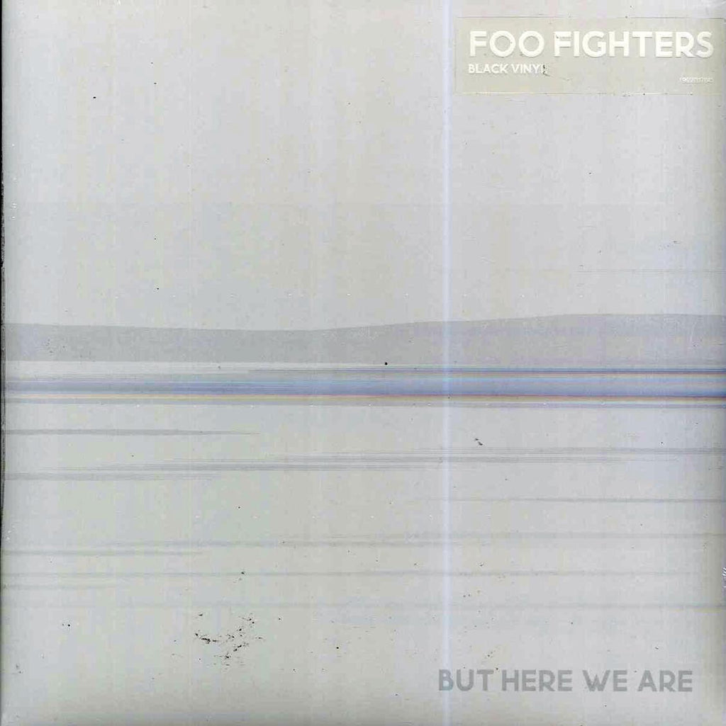 Foo Fighters - But Here We Are vinyl LP front cover