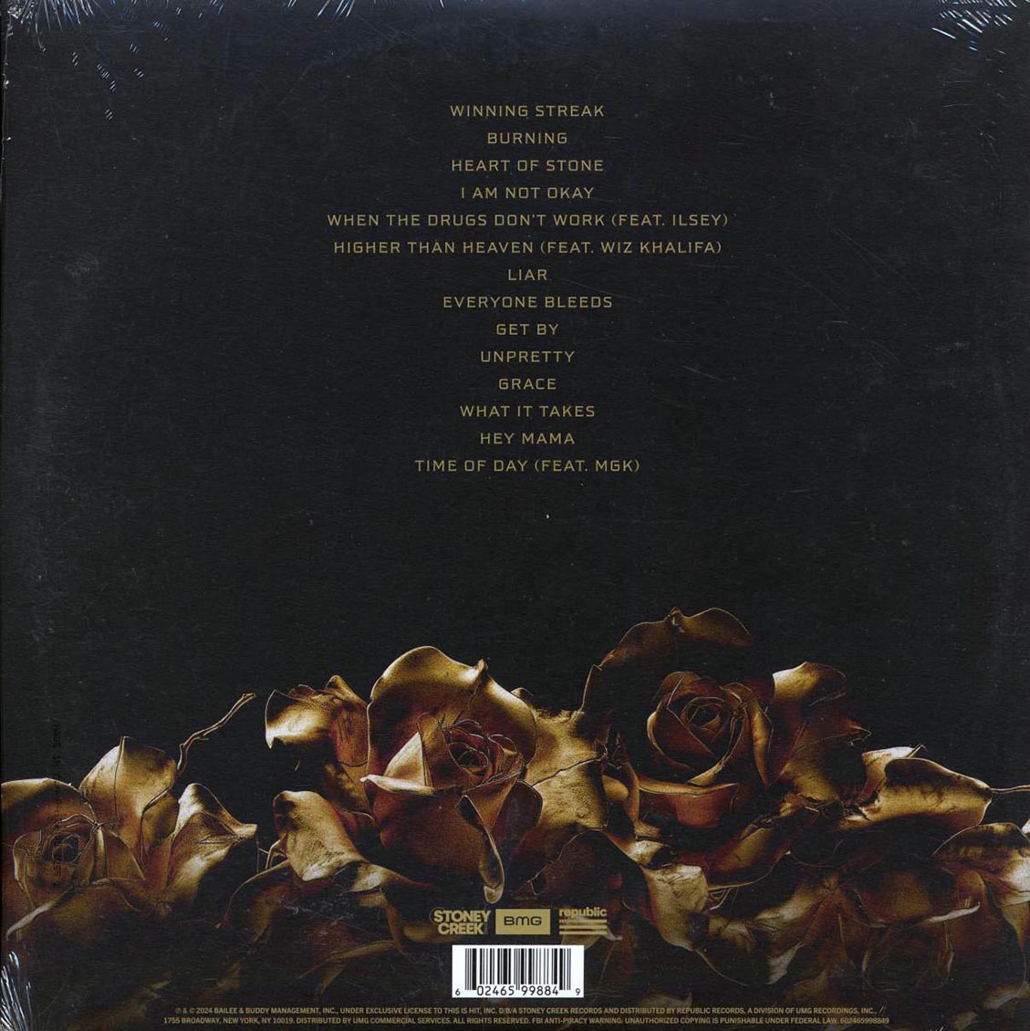 Jelly Roll - Beautifully Broken (brown splatter vinyl) vinyl LP back cover