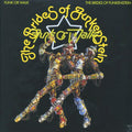 The Brides Of Funkenstein - Funk Or Walk (180g) vinyl LP front cover