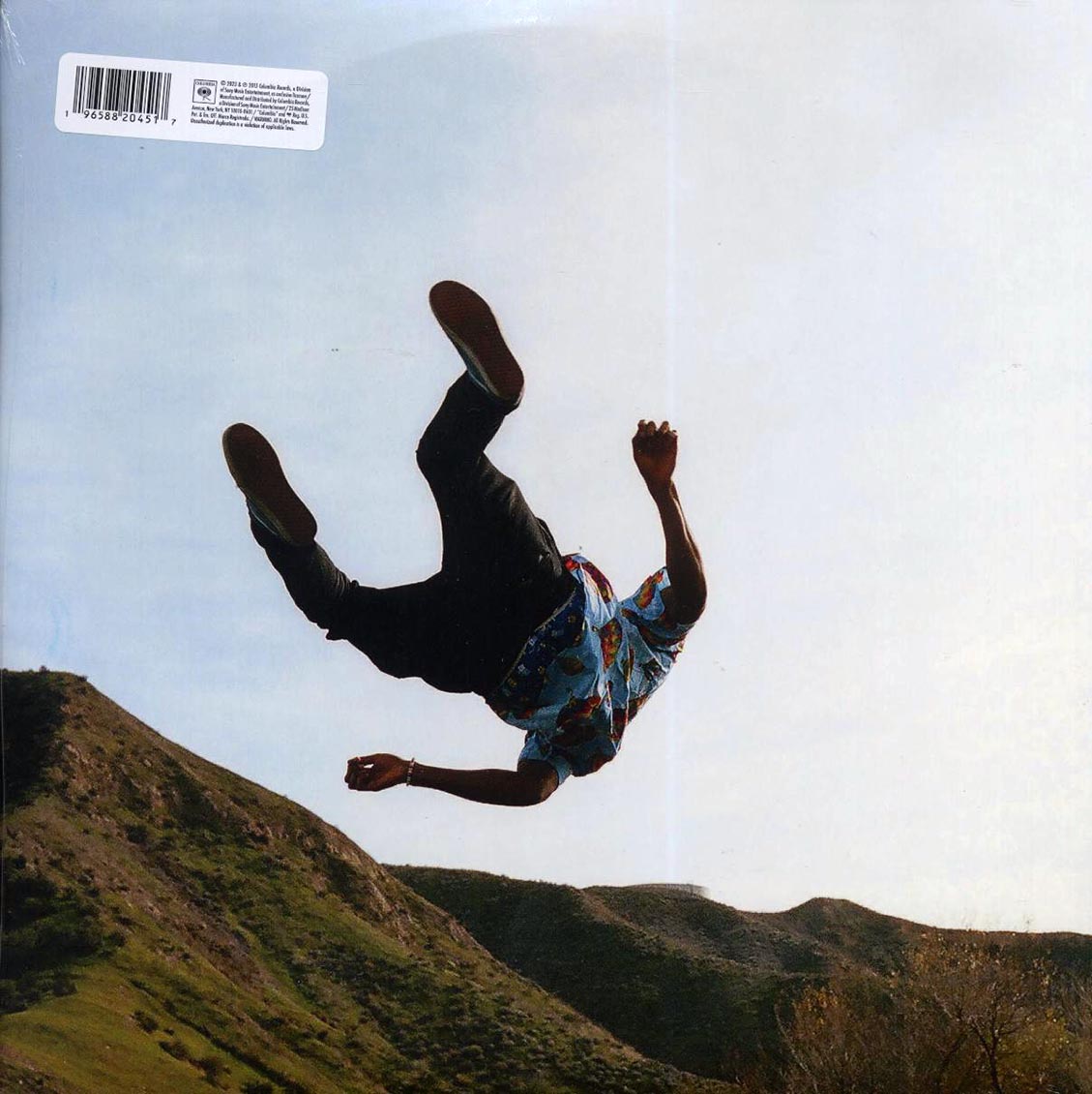 Tyler The Creator - Wolf (2xLP) (pink vinyl) vinyl LP back cover