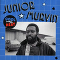 Junior Murvin - Cool Down The Heat vinyl LP front cover