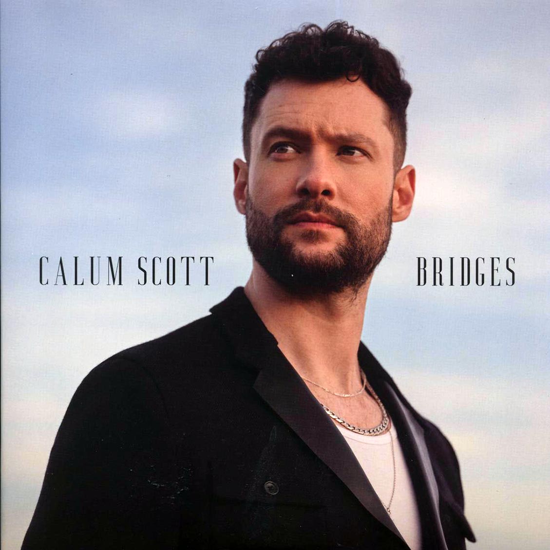 Calum Scott - Bridges (2xLP) vinyl LP front cover