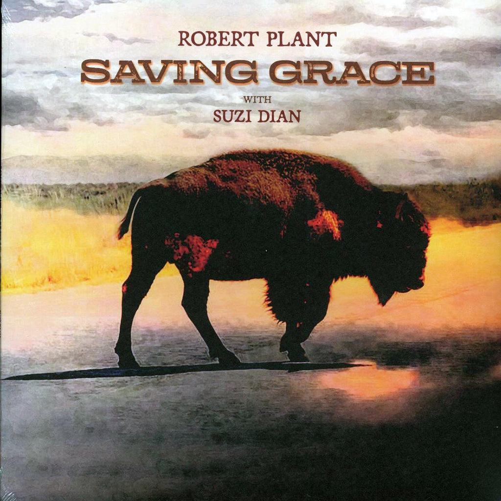 Robert Plant, Suzi Dian - Saving Grace vinyl LP front cover
