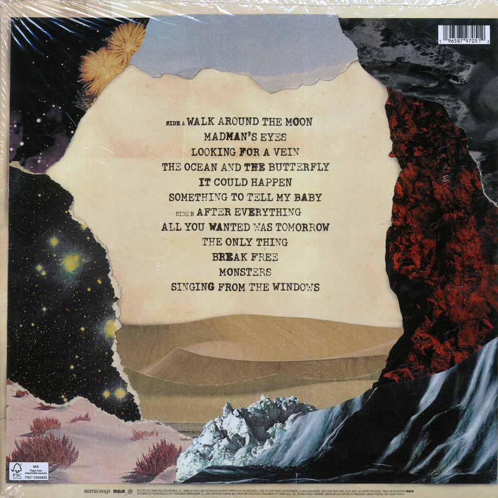 Dave Matthews Band - Walk Around The Moon (ltd. ed.) (blue vinyl) vinyl LP back cover