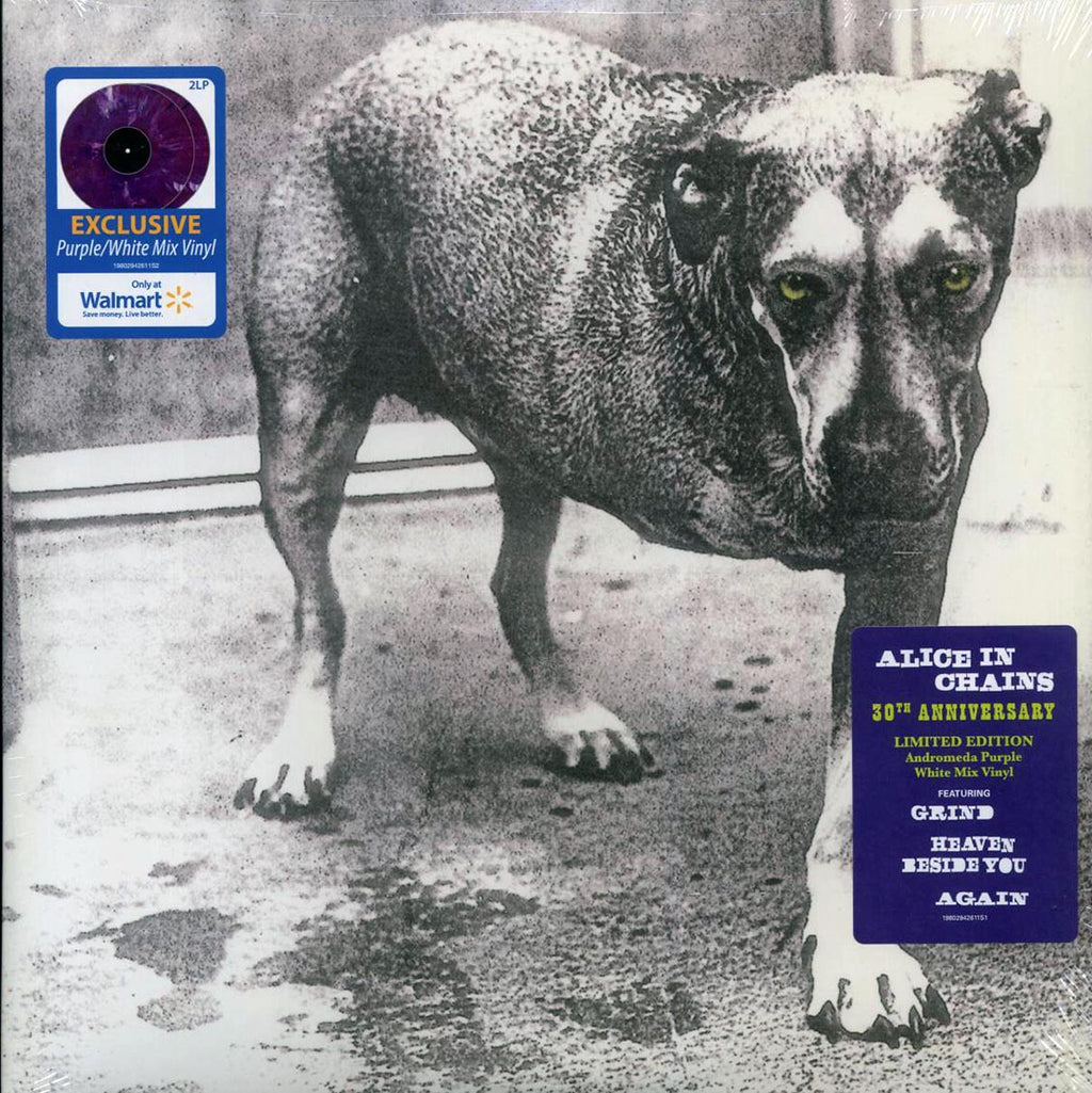 Alice In Chains - Alice In Chains (30th Anniv. Ed.) (2xLP) (purple/white vinyl) vinyl LP front cover