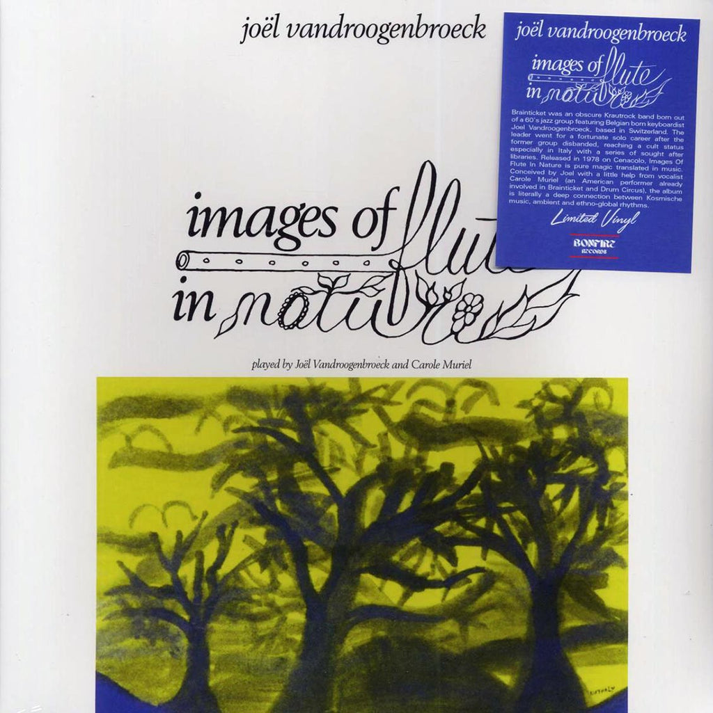 Joel Vandroogenbroeck - Images Of Flute In Nature vinyl LP front cover