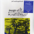 Joel Vandroogenbroeck - Images Of Flute In Nature vinyl LP front cover