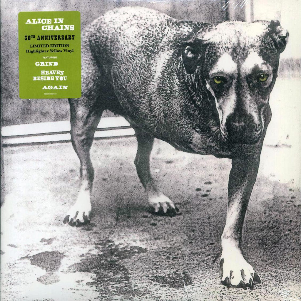 Alice In Chains - Alice In Chains (30th Anniv. Ed.) (ltd. ed.) (2xLP) (yellow vinyl) vinyl LP front cover