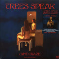 Trees Speak - Mind Maze (ltd. ed.) (incl. a bonus 45rpm vinyl) vinyl LP front cover
