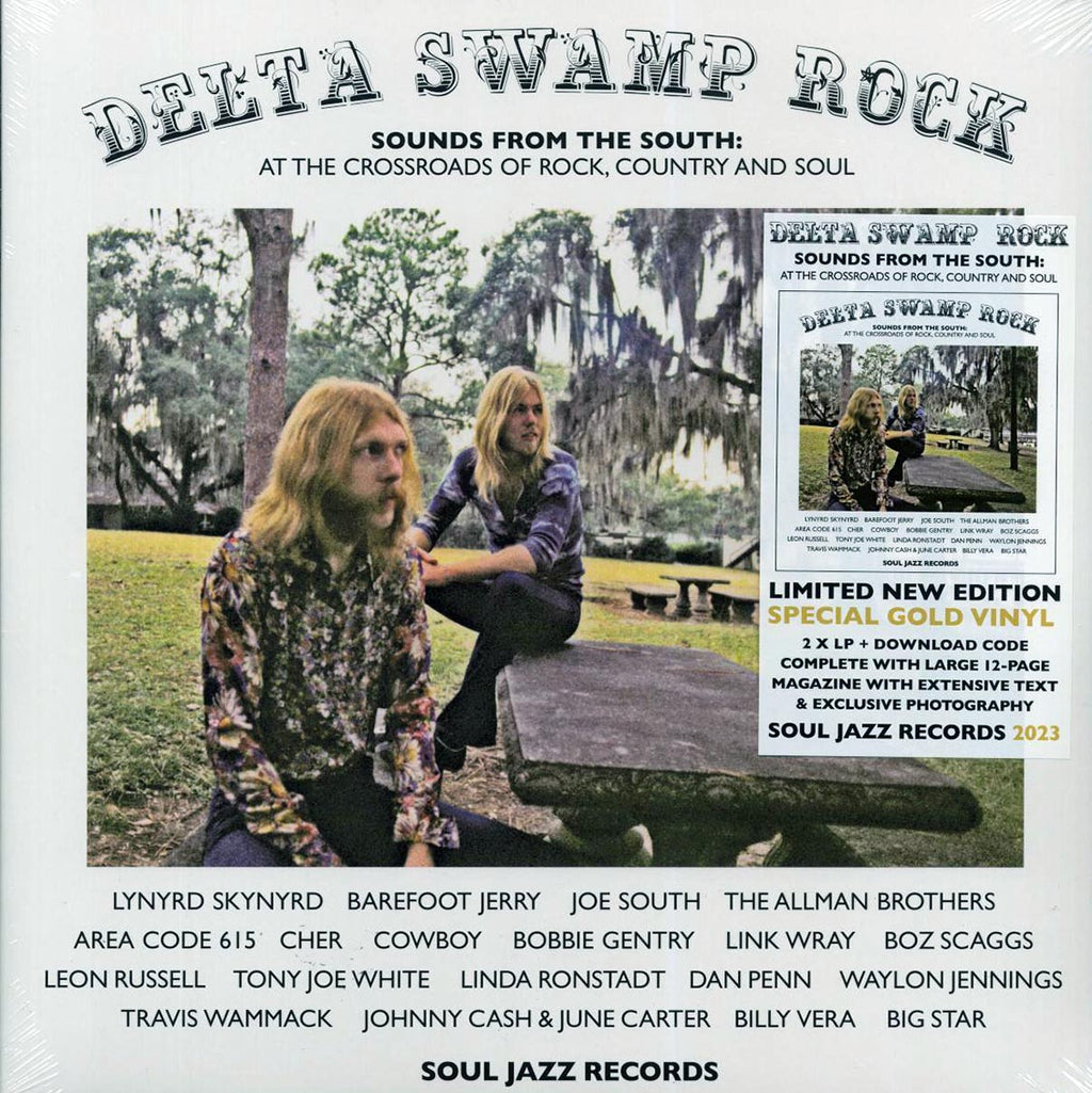 Lynyrd Skynyrd, Barefoot Jerry, The Allman Brothers, Link Wray, Dan Penn, Etc. - Delta Swamp Rock: Sounds From The South At The Crossroads Of Rock, Country And Soul (2xLP) vinyl LP front cover