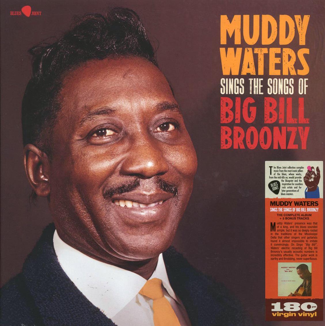 Muddy Waters - Sings The Songs Of Big Bill Broonzy (+5 bonus tracks) (ltd. ed.) (180g) vinyl LP front cover
