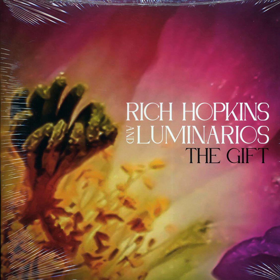 Rich Hopkins & Luminarios - The Gift vinyl LP front cover