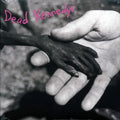 Dead Kennedys - Plastic Surgery Disasters vinyl LP front cover