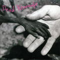 Dead Kennedys - Plastic Surgery Disasters (ltd. ed.) (purple vinyl) vinyl LP front cover