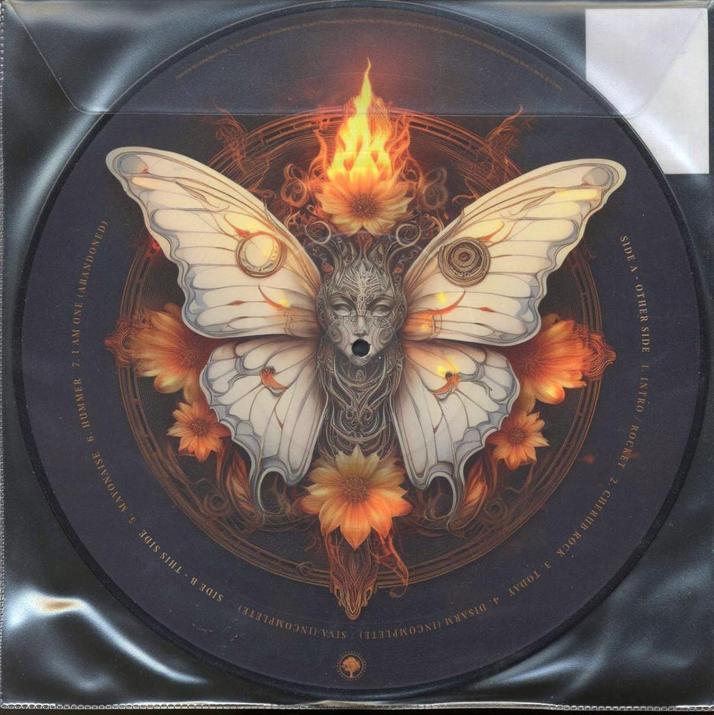 Smashing Pumpkins - Mayonaise Dream: Live In Chicago 1993 (ltd. ed.) (picture disc) vinyl LP back cover