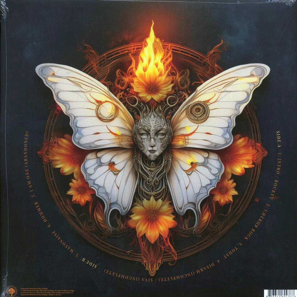 Smashing Pumpkins - Mayonaise Dream: Live In Chicago 1993 (ltd. ed.) (clear vinyl) vinyl LP back cover